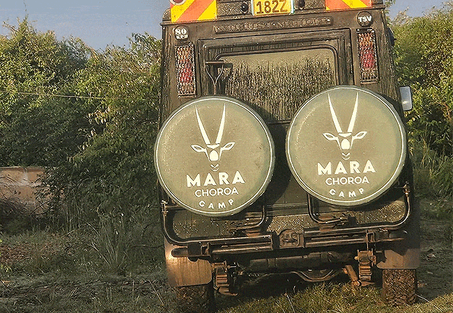 Mara Choroa Camp Masai Mara