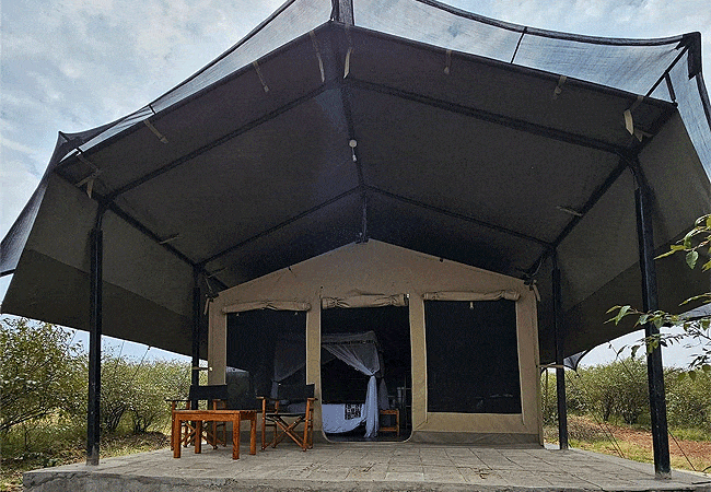 Mara Choroa Camp Masai Mara