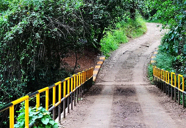 nairobi-tented-camp-karen-suburbs-nairobi-oloolua-nature-trail Nairobi Tented Camp Karen Suburbs Nairobi
