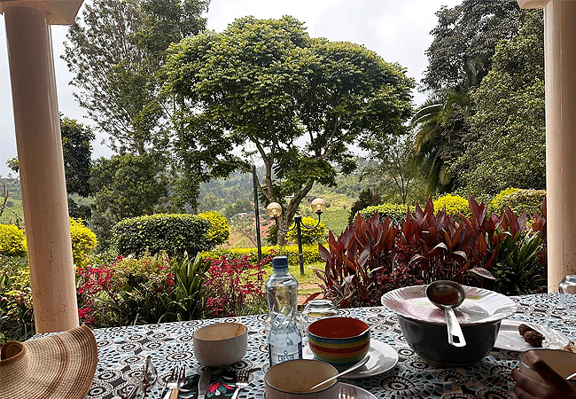 purple-tea-farm-day-tour-at-gatura-greens-farm-muranga-county-fram-house-view Purple Tea Farm Tour at Gatura Greens Farm Muranga-county