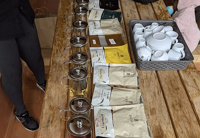 purple-tea-farm-day-tour-at-gatura-greens-farm-muranga-types-of-tea Purple Tea Farm Tour at Gatura Greens Farm Muranga-county