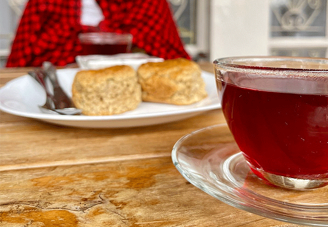 purple-tea-farm-tour-at-gatura-greens farm-muranga-county-black-tea Purple Tea Farm Tour at Gatura Greens Farm Muranga County
