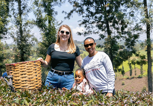 purple-tea-farm-tour-at-gatura-greens farm-muranga-tea-picking-and-process Purple Tea Farm Tour at Gatura Greens Farm Muranga County