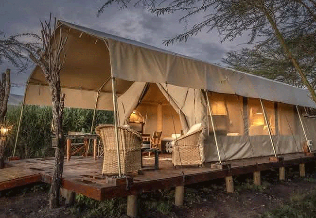 mara-major-camp-maasai-mara-national-reserve-safari-tent Mara Moja Camp Masai Mara National Reserve
