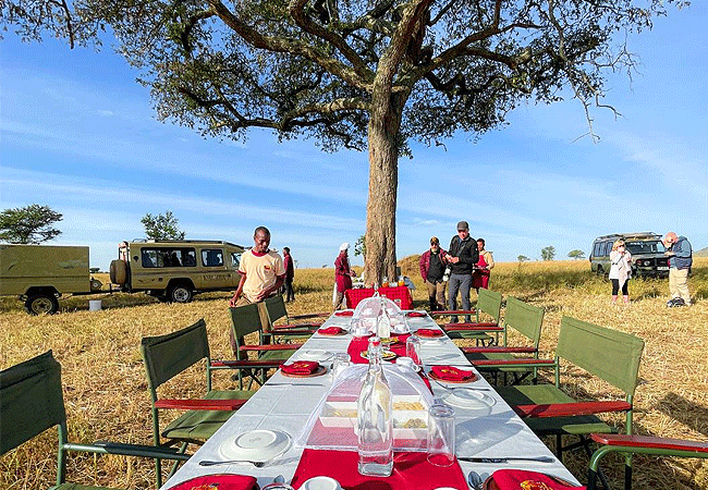 nyssa-balloon-safaris-tanzania-at-serengeti-national-park Nyssa Balloon Safaris Tanzania