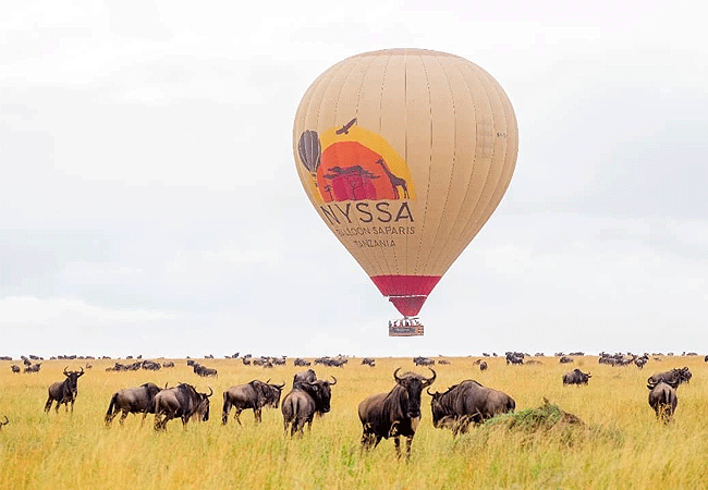 nyssa-balloon-safaris-tanzania-balloon-bird's-eye view Nyssa Balloon Safaris Tanzania