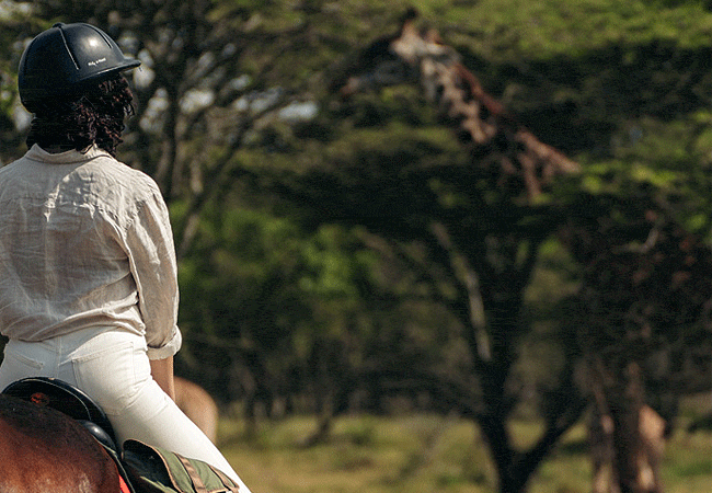 Pearl Mara Camp Masai Mara