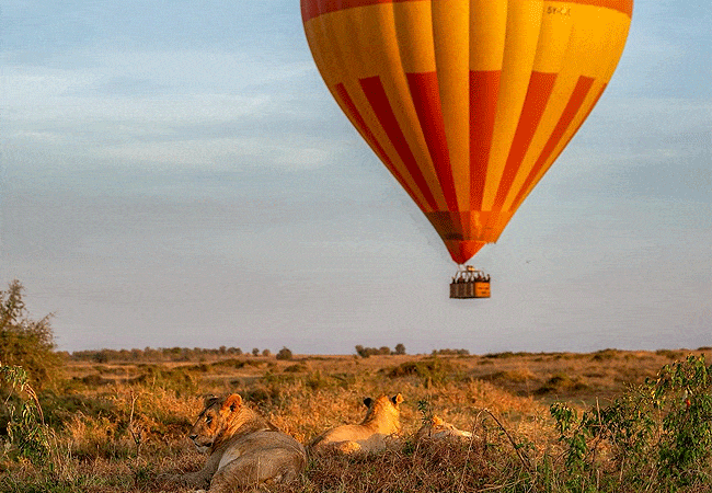ritz-carlton-masai-mara-camp-fly-in-safari-3-days-2-nights-hot-air-balloon-ride Ritz Carlton Masai Mara Camp Fly-in Safari 3 Days 2 Nights