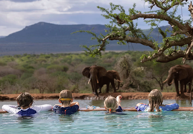 hildana-lodge-hildana-sanctuary -tsavo-west-national-park-elephants-by-your-pool Hildana Lodge, Hildana Sanctuary Tsavo West National Park