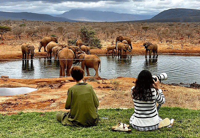 hildana-lodge-hildana-sanctuary-tsavo-west-national-park-waterholes-are-seasonal-homes-to-large-numbers-of-elephant-herds Hildana Lodge, Hildana Sanctuary Tsavo West National Park