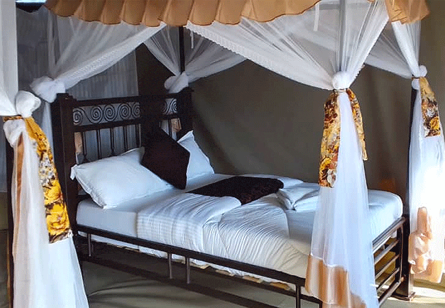 Robin Safari Camp Serengeti National Park | Prices & Activities