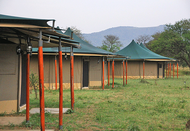 Robin Safari Camp Serengeti National Park | Prices & Activities