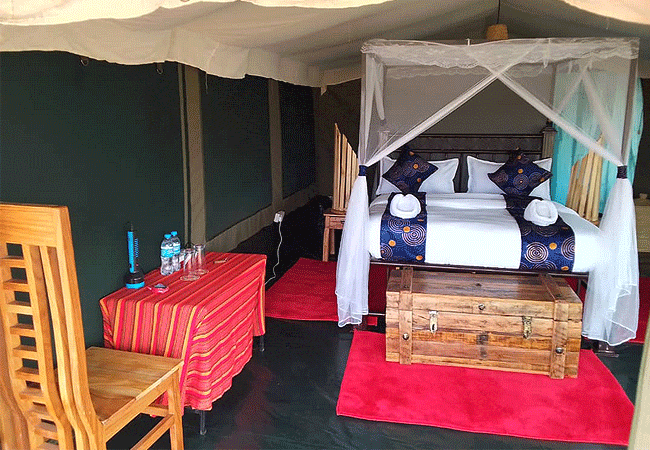 Robin Safari Camp Serengeti National Park | Prices & Activities