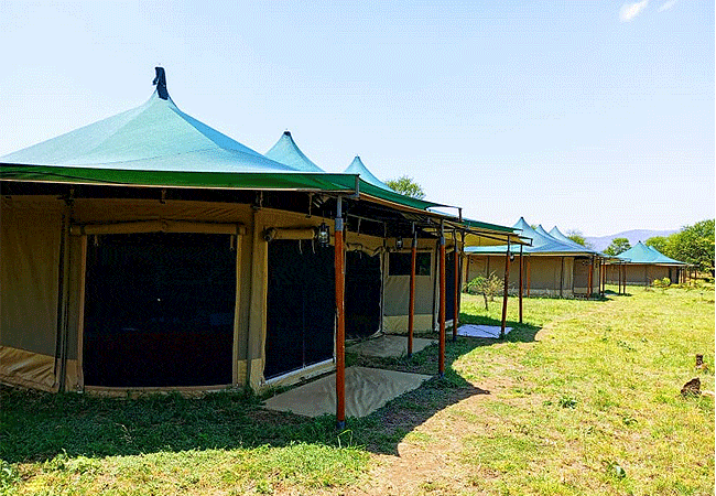 Robin Safari Camp Serengeti National Park | Prices & Activities