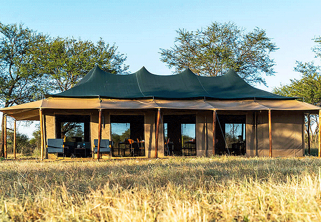 Robin Safari Camp Serengeti National Park | Prices & Activities