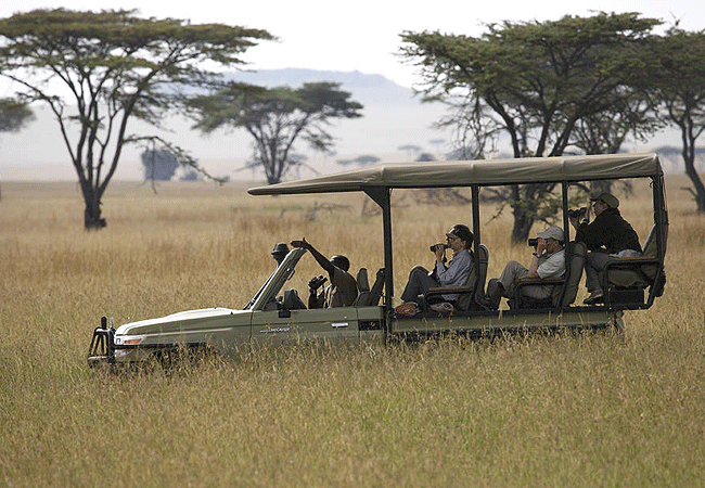 Robin Safari Camp Serengeti National Park | Prices & Activities