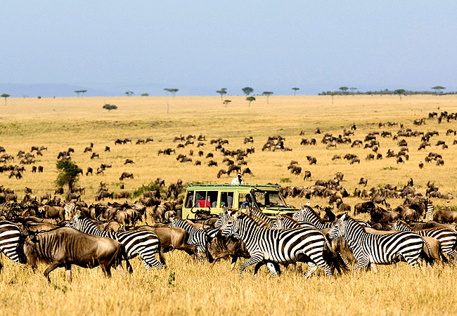Robin Safari Camp Serengeti National Park | Prices & Activities