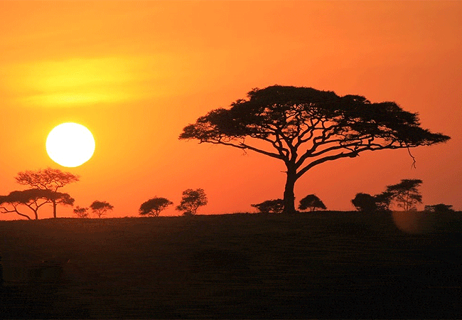 Robin Safari Camp Serengeti National Park | Prices & Activities