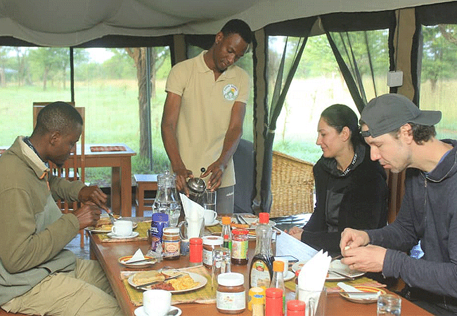 Robin Safari Camp Serengeti National Park | Prices & Activities