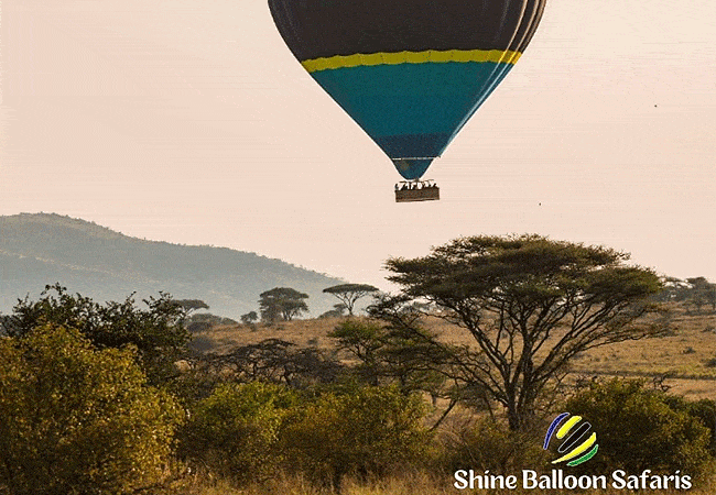 Shine Balloon Safaris Tanzania