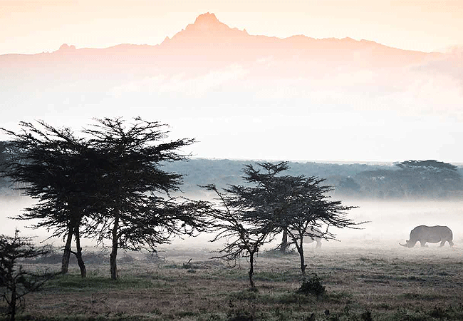 solio-game-reserve-mt-kenya-in-the-back-drop Solio Game Reserve