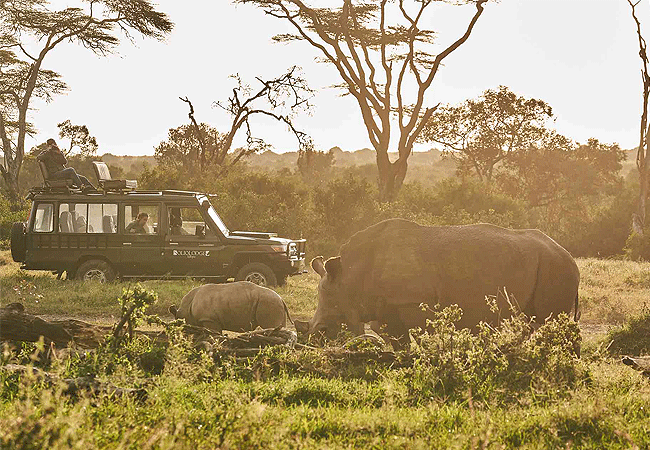 solio-game-reserve-safari-game-drive Solio Game Reserve