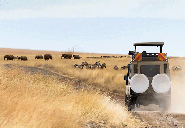 The Maa Guest Masai Mara National Reserve
