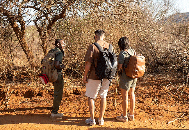 kipalo-hills-lodge-rock-suite-tsavo-west-national-park-nature-walks Kipalo Hills Lodge Rock Suite Tsavo West National Park