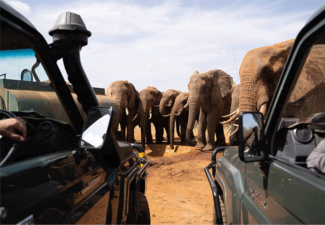 kipalo-hills-lodge-tsavo-west-honeymoon-private-villa-game-drives-use-4×4-vehicles-with-open-roof-hatches-in-mbulia-conservancy-as-well-as-in-tsavo-east-and-tsavo-west-national-park Kipalo Hills Lodge Tsavo West Honeymoon Private Villa