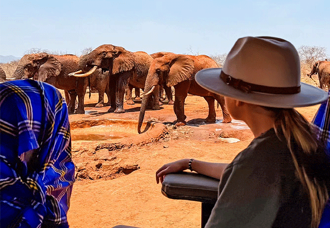 kipalo-hills-lodge-tsavo-west-honeymoon-private-villa-game-drives Kipalo Hills Lodge Tsavo West Honeymoon Private Villa