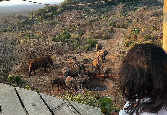 kipalo-hills-lodge-tsavo-west-honeymoon-private-villa-water-hole Kipalo Hills Lodge Tsavo West Honeymoon Private Villa