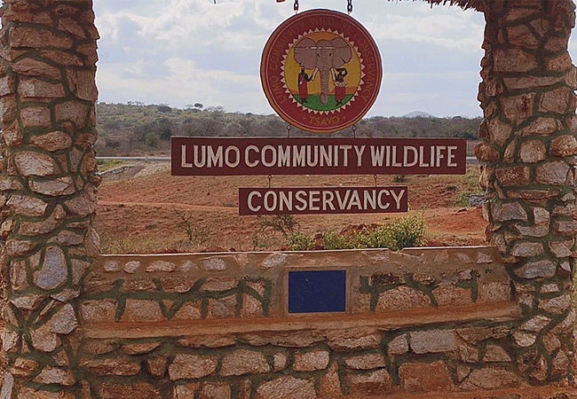 lumo-conservancy-is-a-community-owned-and-managed-conservation-area-spanning-48,000-acres-in-taita-taveta-county-kenya LUMO Community Wildlife Conservancy