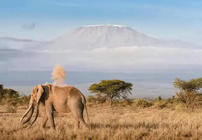 ak-sanctuary-kitirua-plains-lodge-mt-kilimanjaro-elephants A&K Sanctuary Kitirua Plains Lodge