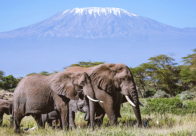 Teen Ranch Kenya Camp & Retreat Center Kimana Amboseli
