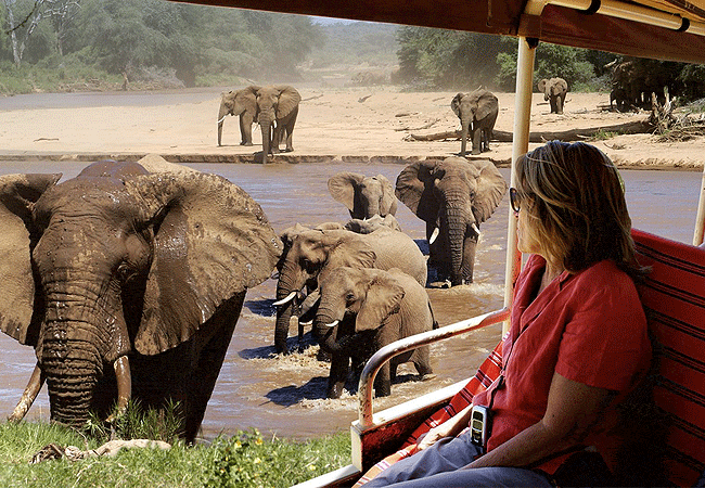 3-day-samburu-fly-in-safari-elephant-watch-camp-kenya 3 Day Samburu Fly-in Safari Elephant Watch Camp