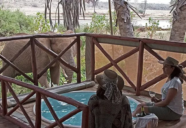 3-days-2-nights-elephant-bedroom-camp-fly-in-safari-luxury-tent-offers-a-plunge-pool-lounge-areaand-the-en-suite-bathroom-features-an-indoor-shower 3 Days 2 Nights Elephant Bedroom Camp Fly-in Safari