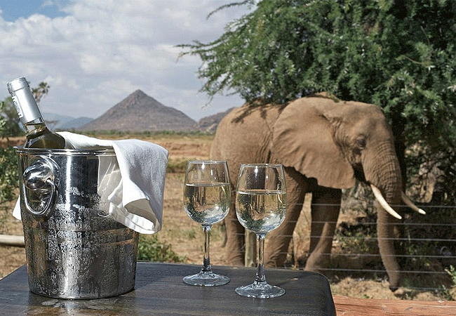 3-days-2-nights-samburu-ashnil-camp-fly-in-safari-offers-tents-overlook-the-river-and-giraffes-and-elephants-are-frequent-visitors 3 Days 2 Nights Samburu Ashnil Camp Fly in- safari