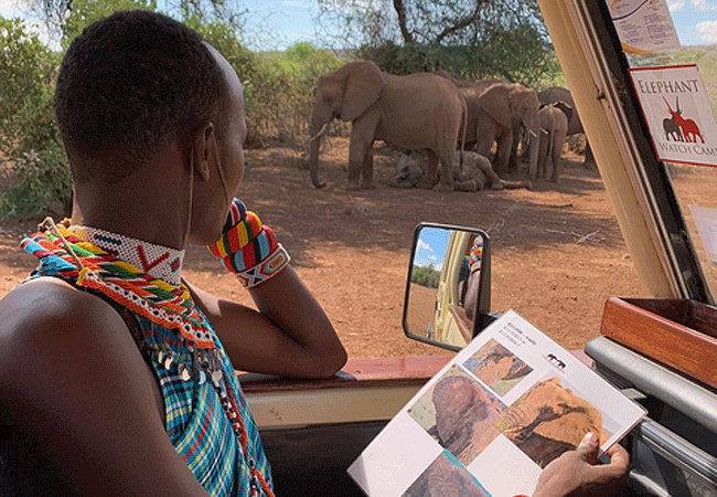elephant-watch-camp-conservation 3 Day Samburu Fly-in Safari Elephant Watch Camp