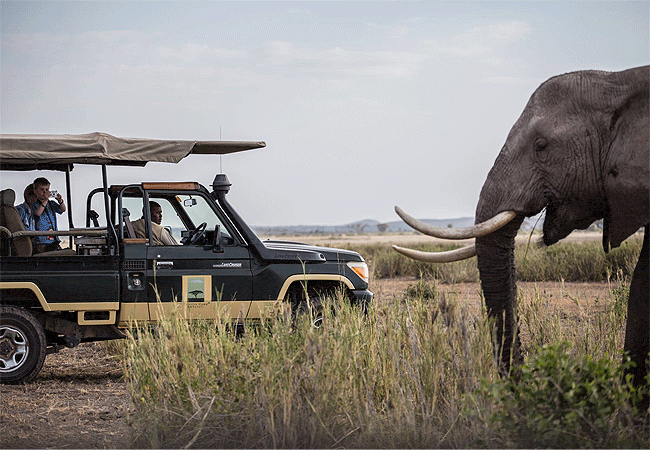 Elewana Tortilis Camp Private House Amboseli National Park