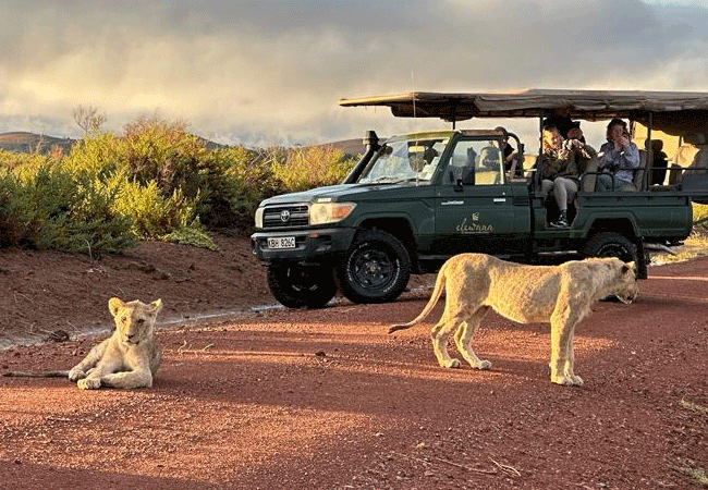 Elewana Tortilis Camp Private House Amboseli National Park