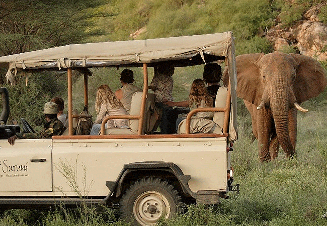 kalama-community-wildlife-conservancy-offers-day-and-night-game-drives-or-explore-the-nearby-samburu-national-reserve Kalama Community Wildlife Conservancy