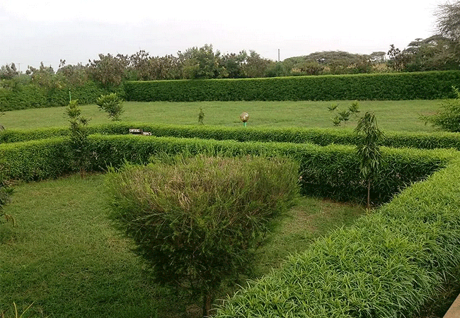 paran-resort-hotel-kimana-town-activities-include-visits-to-amboseli-national-park-tsavo-national-park-kimana-wildlife-sanctuary-and-scenic-view-of-mount-kilimanjaro Paran Resort Hotel Kimana Town