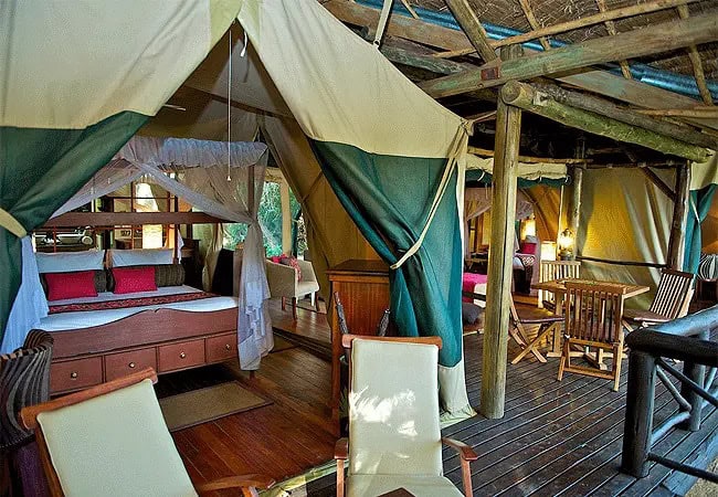 3-day-fly-in-safari-samburu-intrepids-luxury-tented-camp-kenya-features-28-canvas-tents-each-with-a-thatched-roof-for-insulation-and-located-on-the-banks-of-the-ewaso-nyiro-river 3 Day Fly-in Safari Samburu Intrepids Luxury Tented Camp