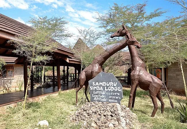 3 Day Samburu Simba Lodge Safari By Road From Nairobi