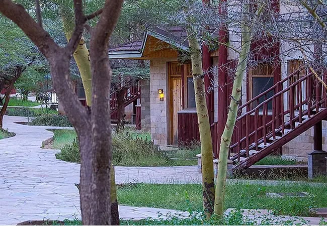 3 Day Samburu Simba Lodge Safari By Road From Nairobi