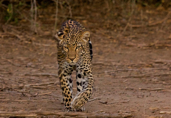 Namunyak Community Conservancy Samburu Kenya
