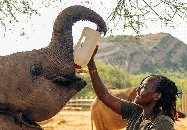 Reteti Elephant Sanctuary