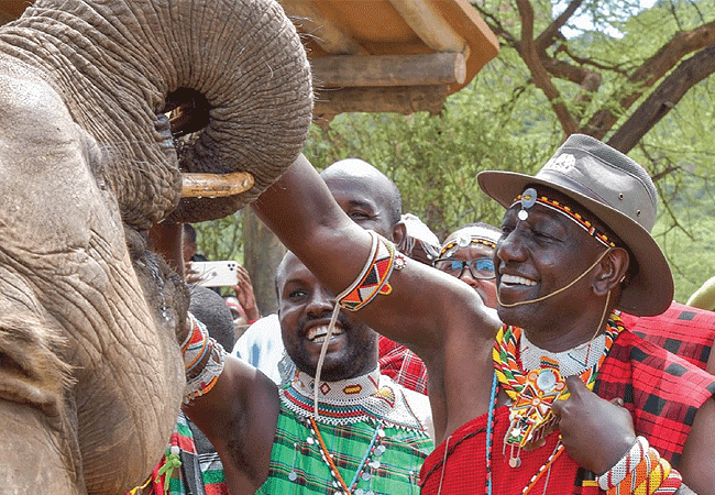 Reteti Elephant Sanctuary