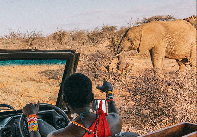 Westgate Community Conservancy | Samburu National Reserve