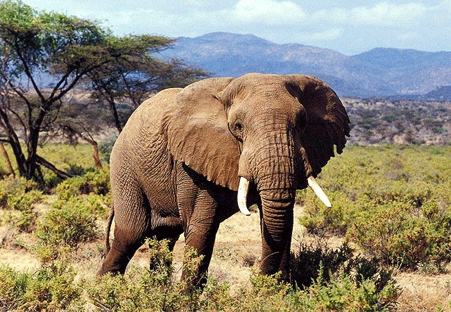 Sera Wildlife Conservancy